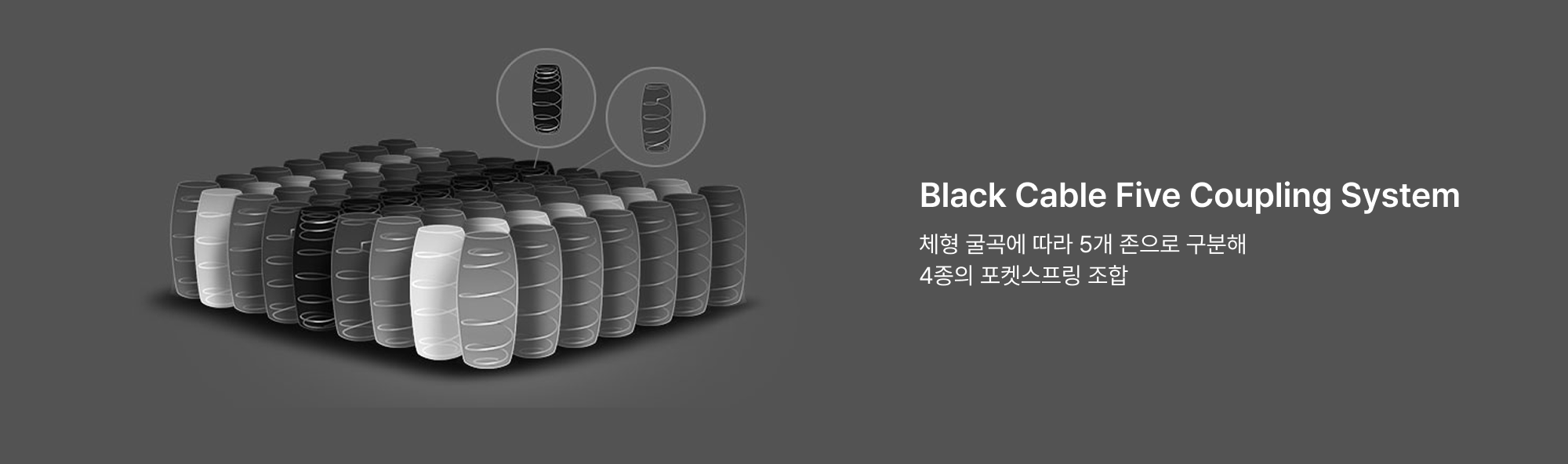 Zoning System 이미지 2