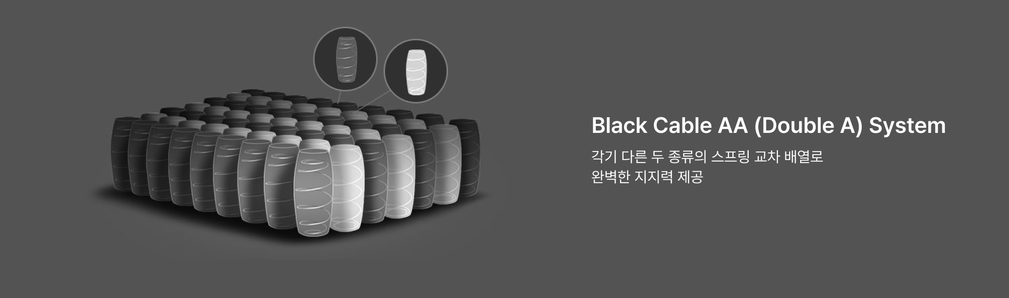 Zoning System 이미지 3